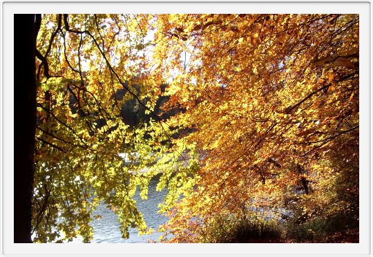 Isar bei Buchenhain