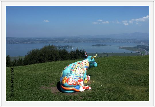 Blick vom Luergeten auf Zürichsee