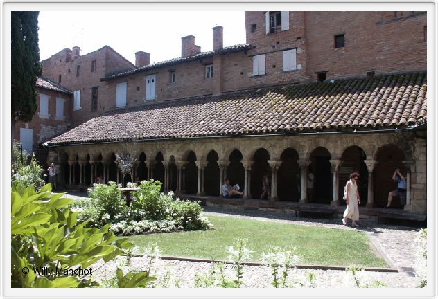 Albi