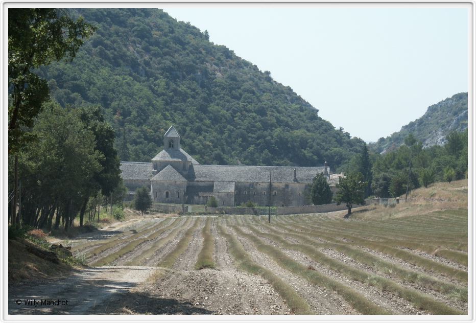 Senanque