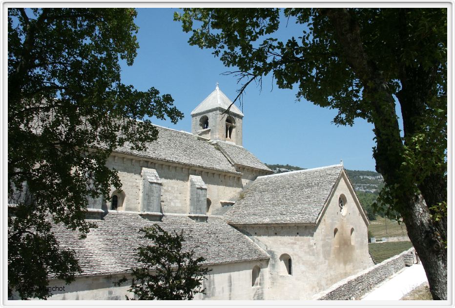 Senanque