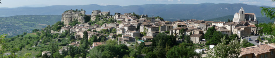 Les Pingouins