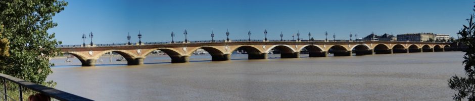 Les Pingouins